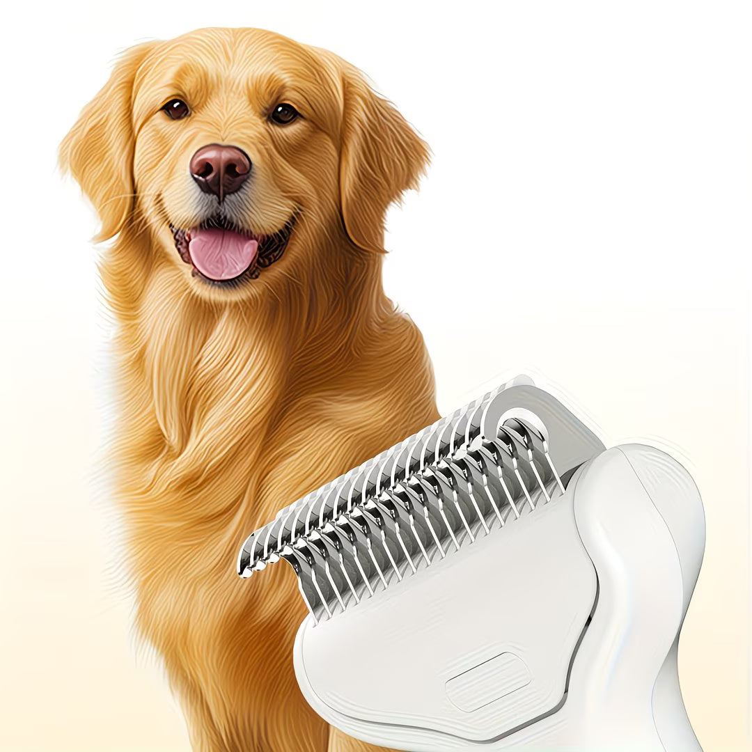 A Magical Stainless Steel Dog Grooming Brush